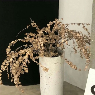 兽设火山场景设计福瑞群